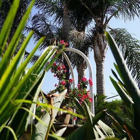 Bed and breakfast Ciro 3*