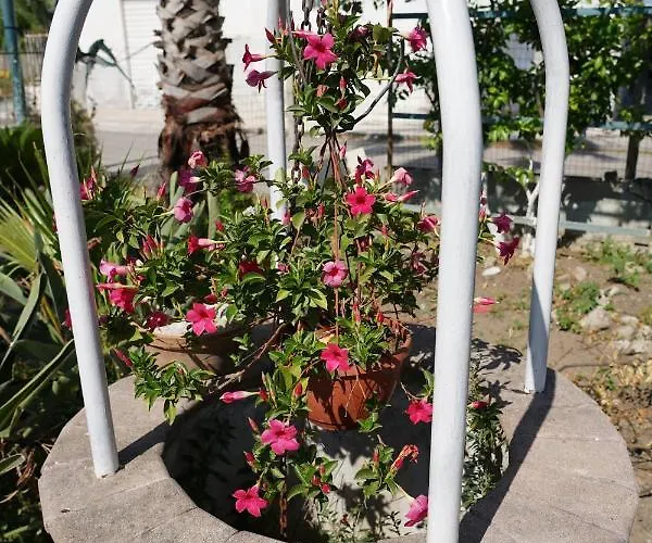 Ciro Отель типа 